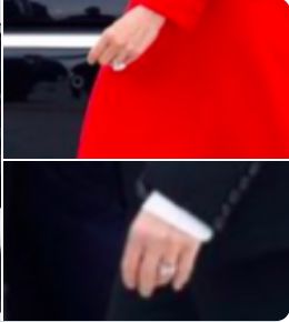 特朗普梅拉尼娅埃及,特朗普梅拉尼娅沙特