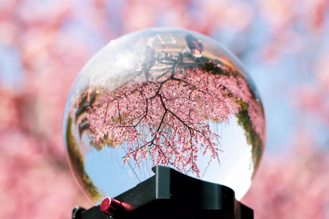 腾讯、联通、新东方都准备来华师“抢人”，本周就业讲座通知汇总，赶紧安排一下！