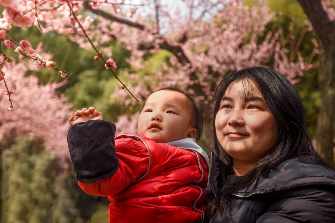 腾讯、联通、新东方都准备来华师“抢人”，本周就业讲座通知汇总，赶紧安排一下！