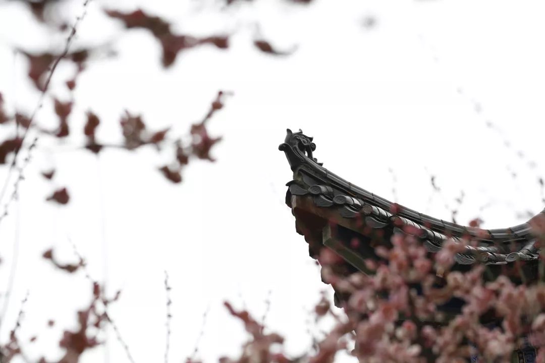 腾讯、联通、新东方都准备来华师“抢人”，本周就业讲座通知汇总，赶紧安排一下！