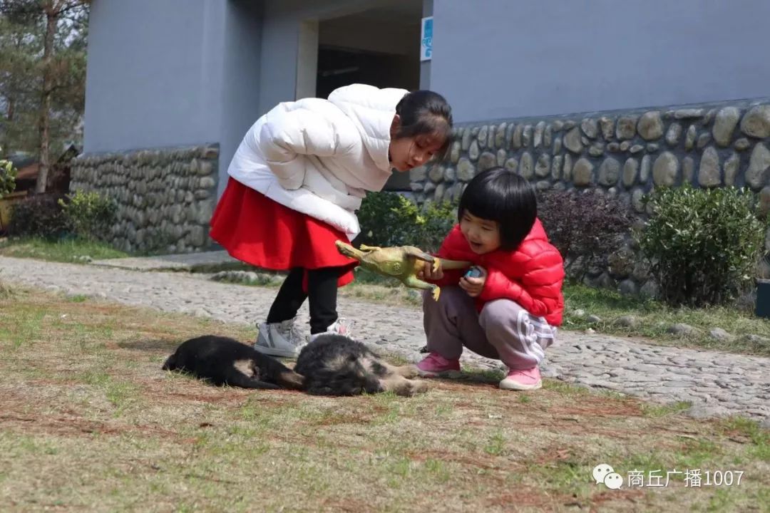 带你欣赏淮南寿县古城,参观寿县古城