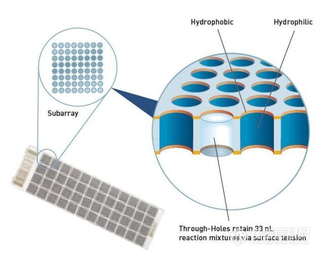一文快速入门graphql,数字pcr原理图解