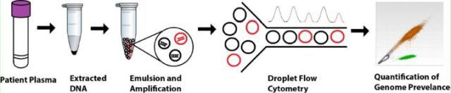 一文快速入门graphql,数字pcr原理图解