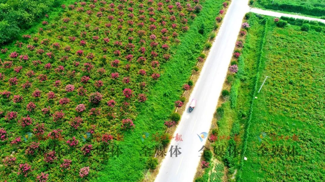 淮北市最值得去的旅游景点,淮北旅游胜地
