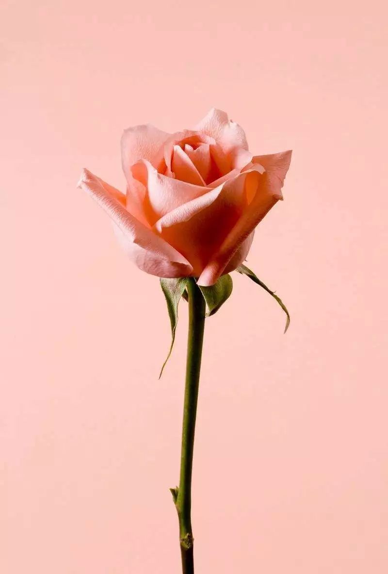 北半球的我突然向往南半球的温暖