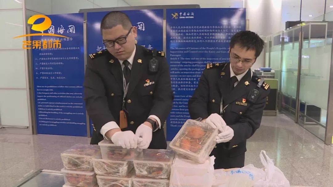 13吨冰冻虾被集中销毁,17吨梭子蟹被抓