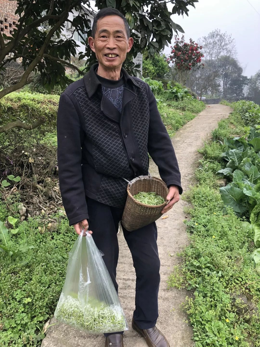 五粮液最近销量怎么样,五粮液逆势前后对比