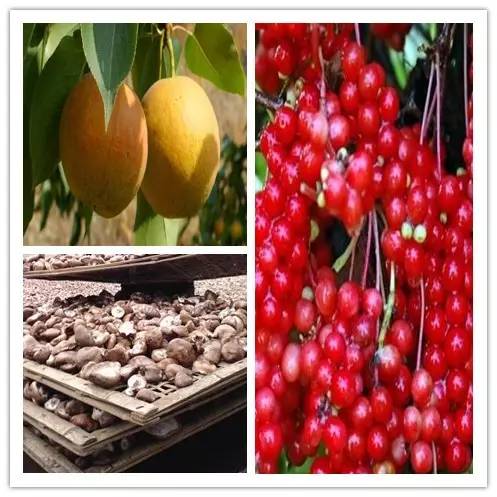 收藏100块钱,收藏出去玩的票