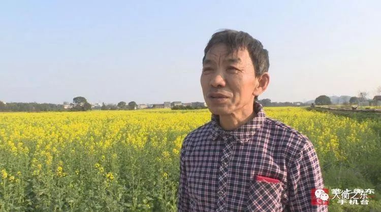 青春衡东：春来花开采蜜忙，欧金华沿着花的足迹迁徙