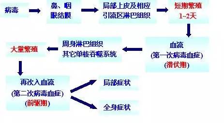 一片红痘,孩子长痘家长们一定要重视起来