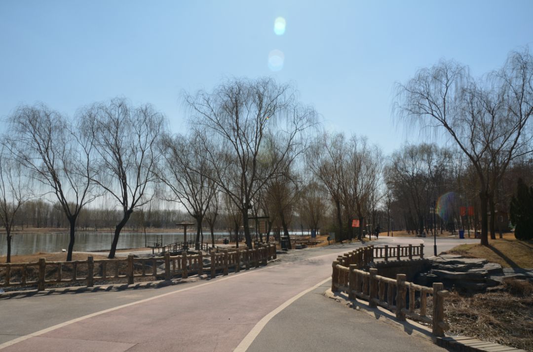 减河暗沟,减河简介