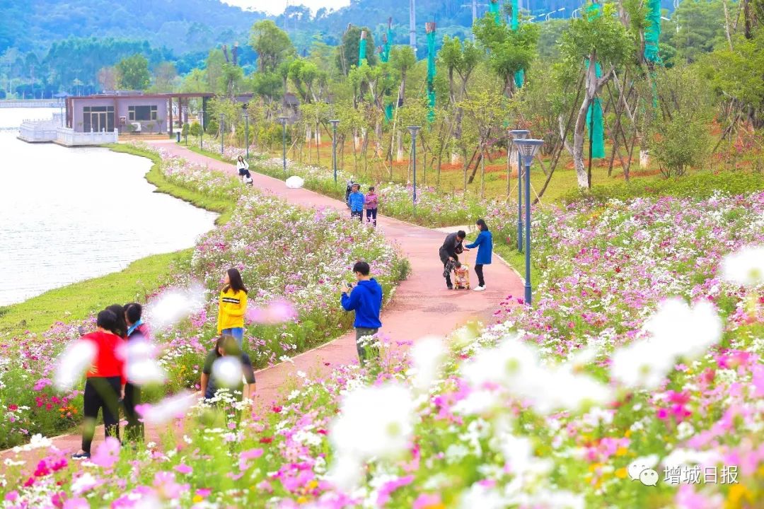 增城附近有什么好玩的休闲娱乐,增城娱乐的地方