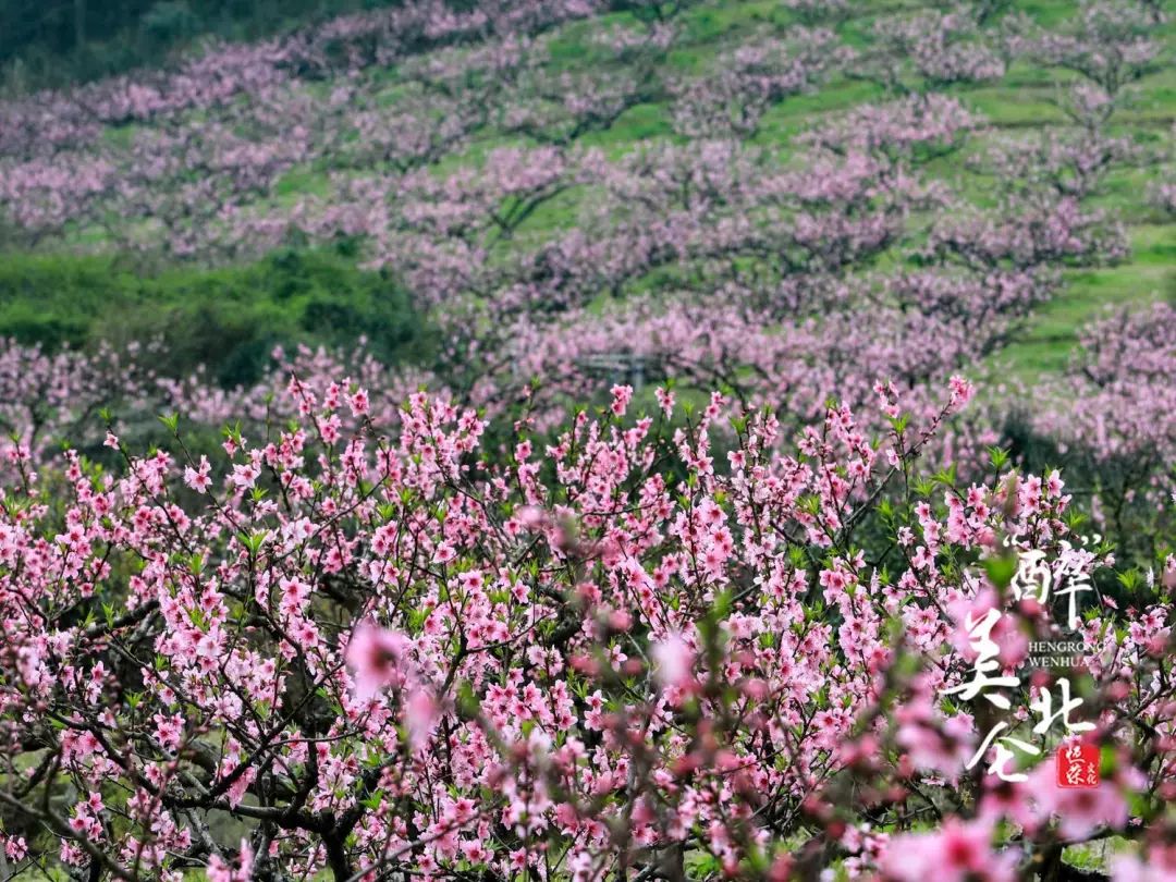 北仑清明游玩,下周北仑旅游景点