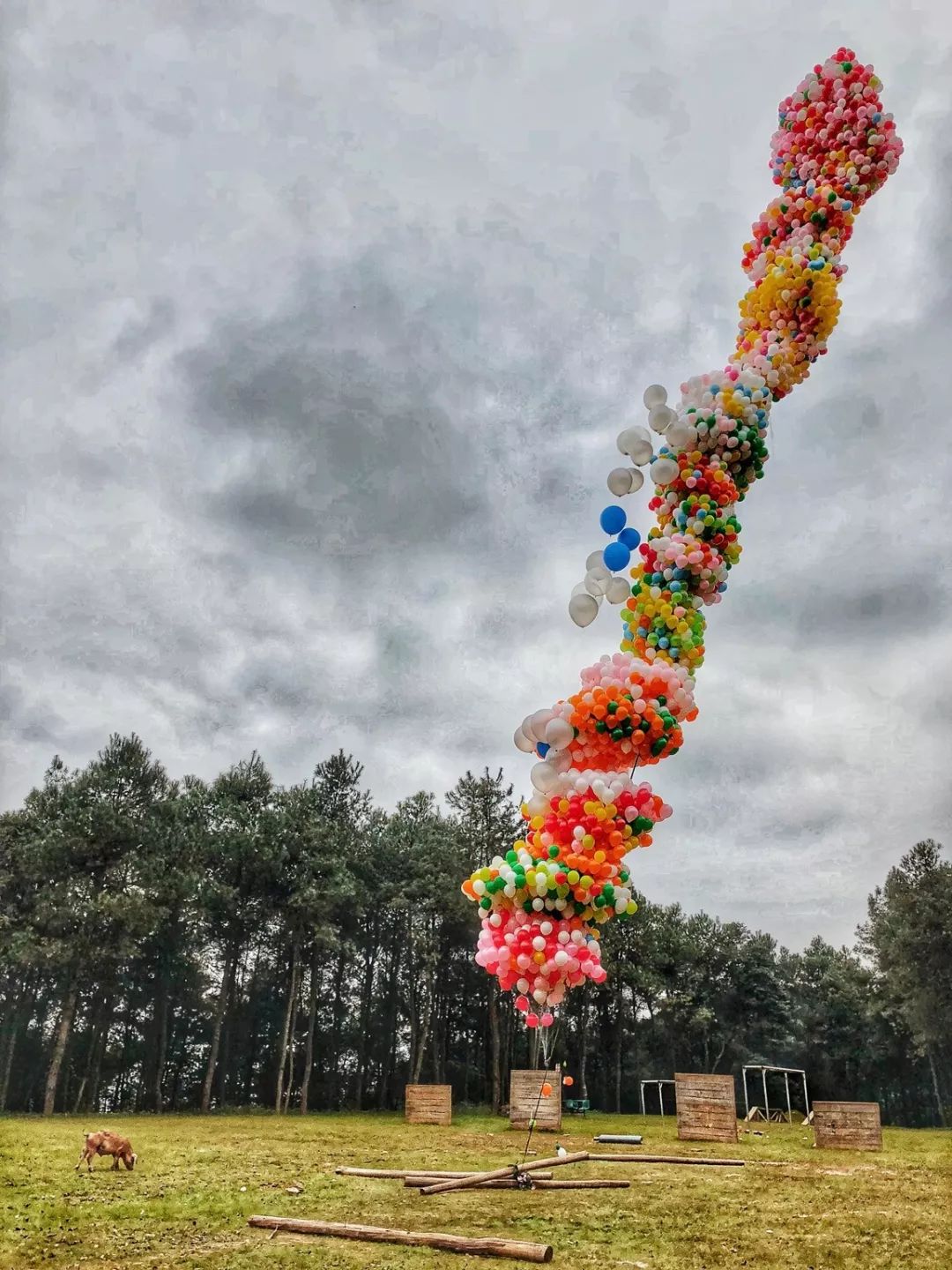 这大概是全世界最无聊的人了