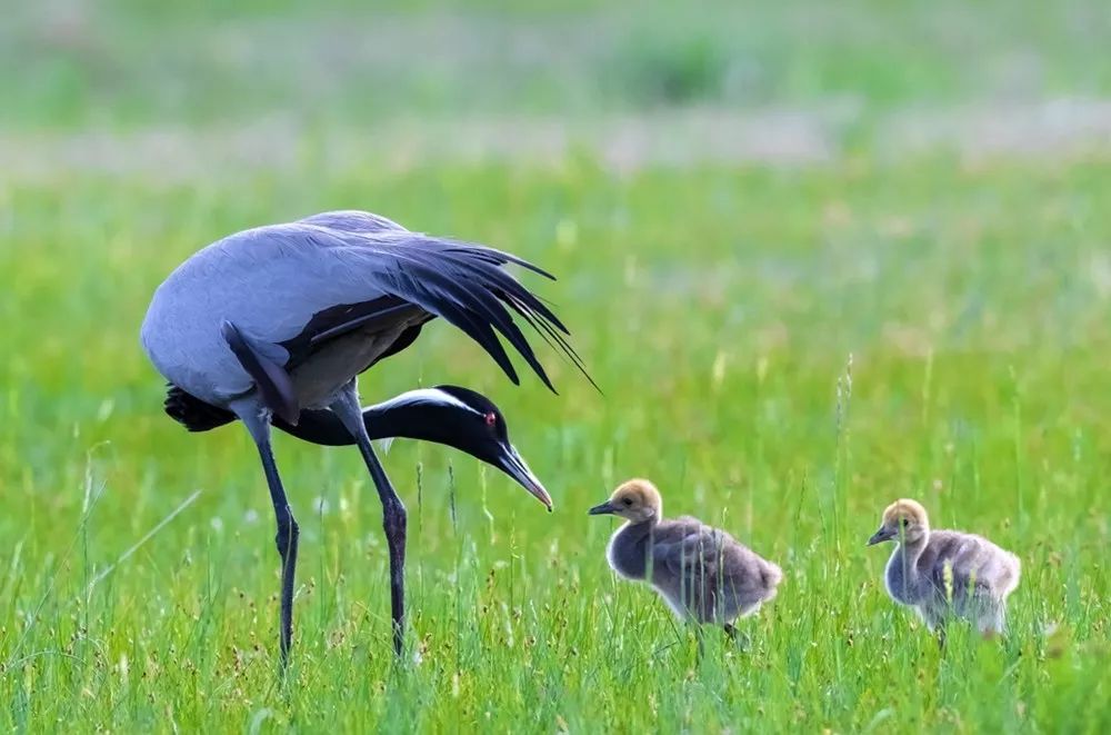 顺德龙江户外活动,龙江县夏季旅游