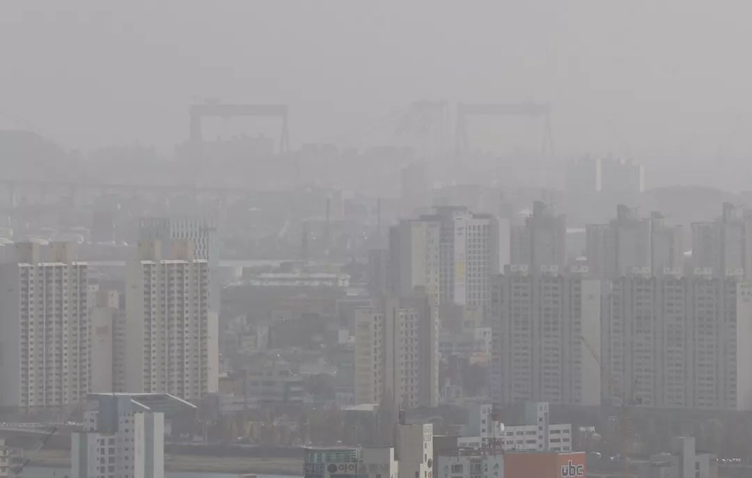 乔治小王子知道自己是王子,乔治王子会成为未来国王吗