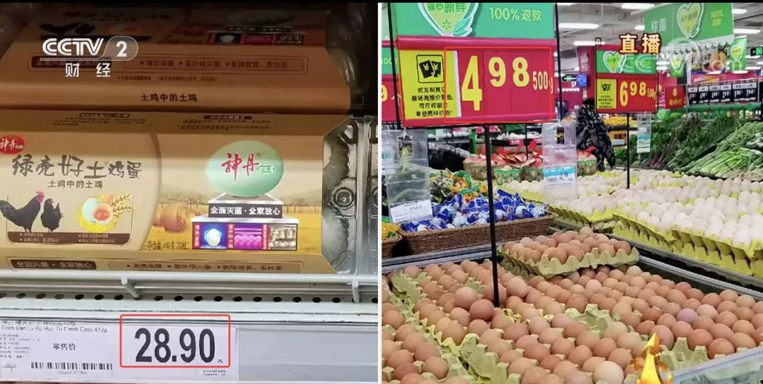 网上的土鸡蛋到底是真是假,土鸡蛋骗局种类