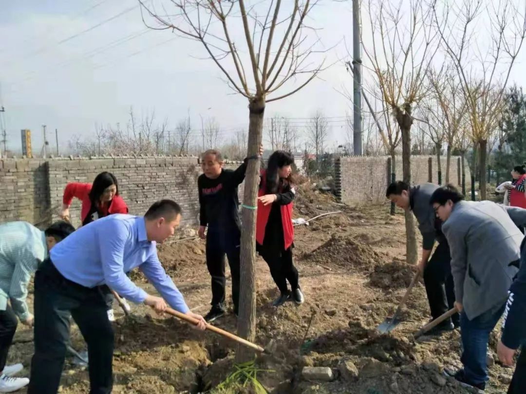 阳春三月暖植树绿化正当时,阳春三月草长莺飞栽几株树