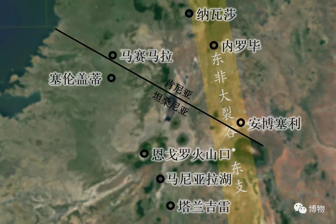肯尼亚博物学之旅,博物肯尼亚