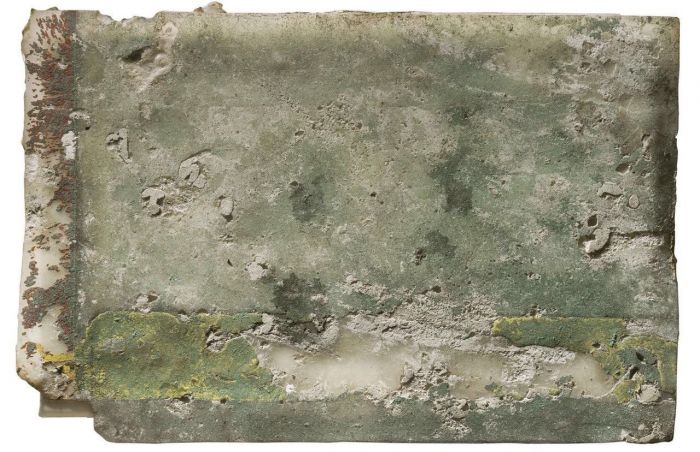 春暖花开百花齐放完整视频,春暖花开群芳争艳视频