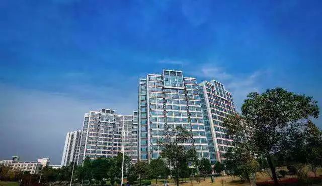 镇江春天一定要做的25件事，别辜负了大好*光春**！