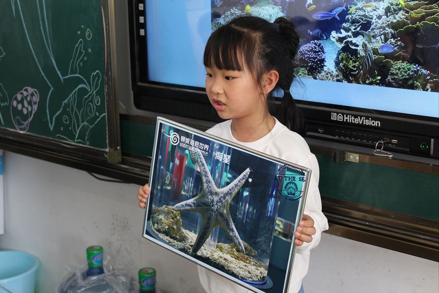 山东聊城海底世界和古城一日游,聊城海底世界项目