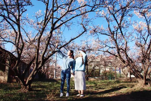 郑州周边踏青采摘野菜,郑州自驾踏青赏花好去处