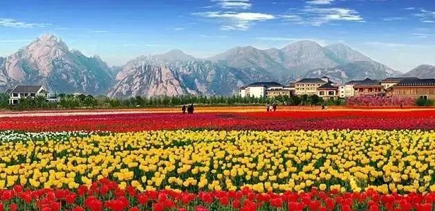 全城招募！中原银行首届汉服形象大使选拔开始啦！