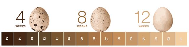 晒斑痘印去除土方法,5个祛斑小妙招淡化晒斑雀斑痘印