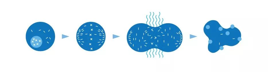 5年生存率翻番！这种全球范围内首次获批的电场抗癌黑科技，是脑部肿瘤治疗领域近10年来最大的突破丨奇点搜神记