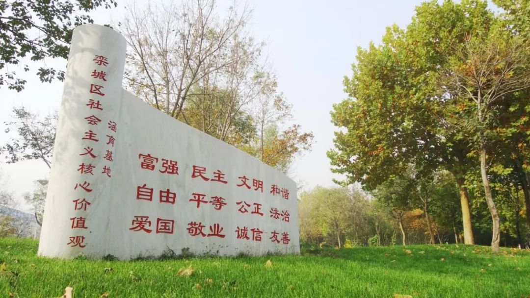 学习强国高积分秘籍,学习强国每天66分如何轻松到手