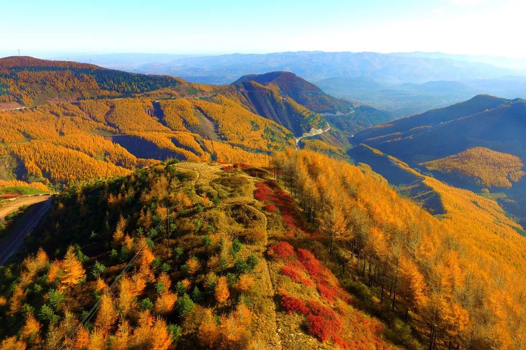 中国897个国家森林公园