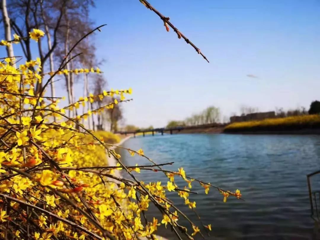 清明节正定赏花游攻略,正定清明踏青好去处
