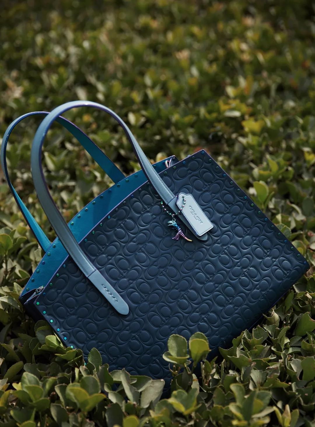 如果选一个城市定居你选择哪里,选一个城市做你的恋人