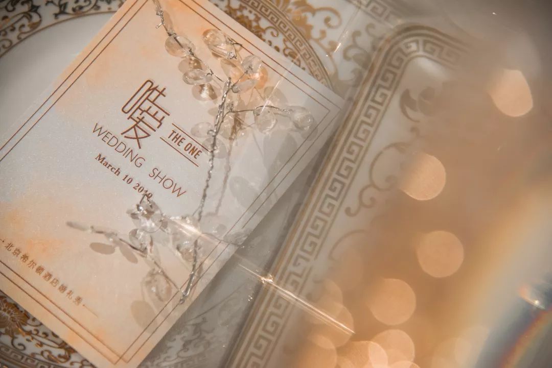 妻子的浪漫旅行之约,妻子的浪漫旅行之月光派对