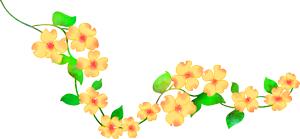 昌平中西医结合医院无痛分娩,北京昌平无痛分娩的医院