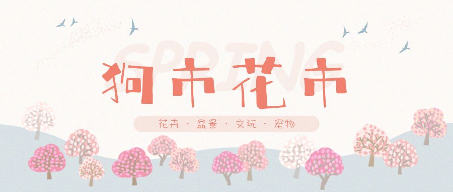 花色撩人,亲测德阳这两家花市,“花chi”去了就不想出来!