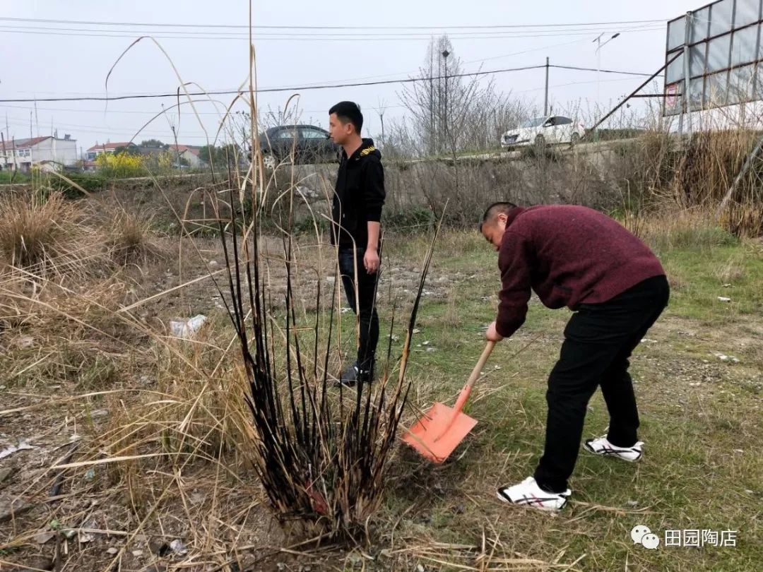 【基层动态】幸福村的希望