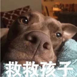 十大好用的祛痘印产品,真实有效的几款祛痘印神器