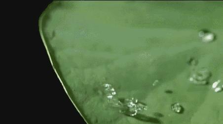 懒癌患者的福音！不怕脏，不会皱的黑科技衬衫，简约又时尚