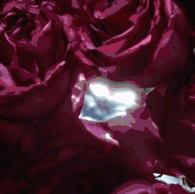 omg买它买它什么梗,omg买它原版