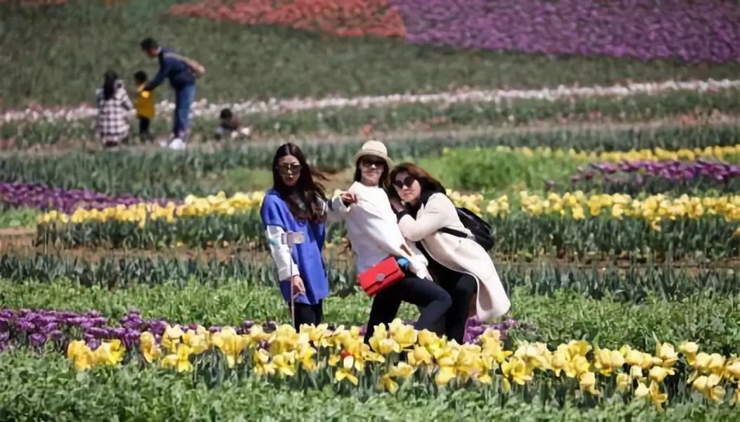 能快速致富的14种商机,目前最能致富的商机是什么