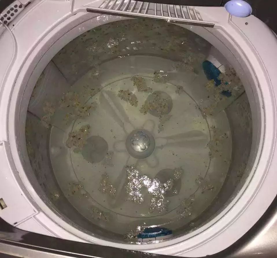 难熬的4月，幸好有它们陪我