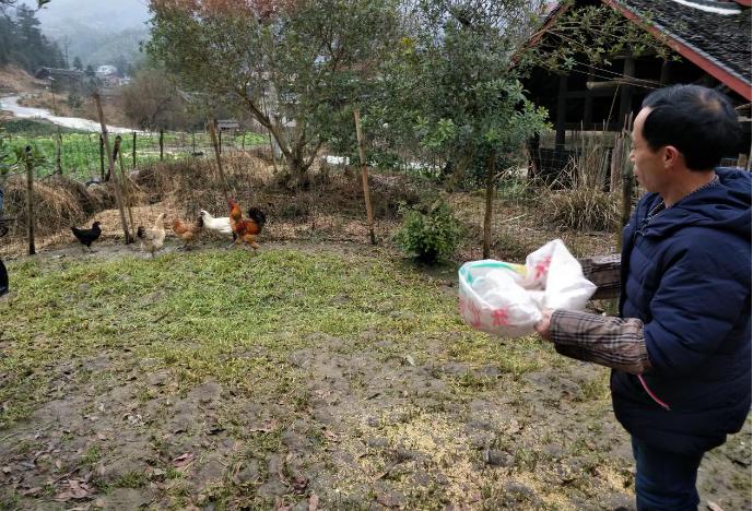 楼宇党建的成功经验,楼宇党建工作