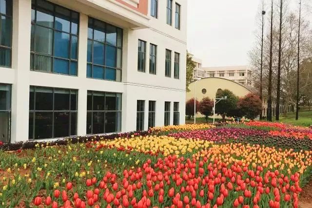 华中农业大学校园到底有多美,华中农业大学园艺林学院