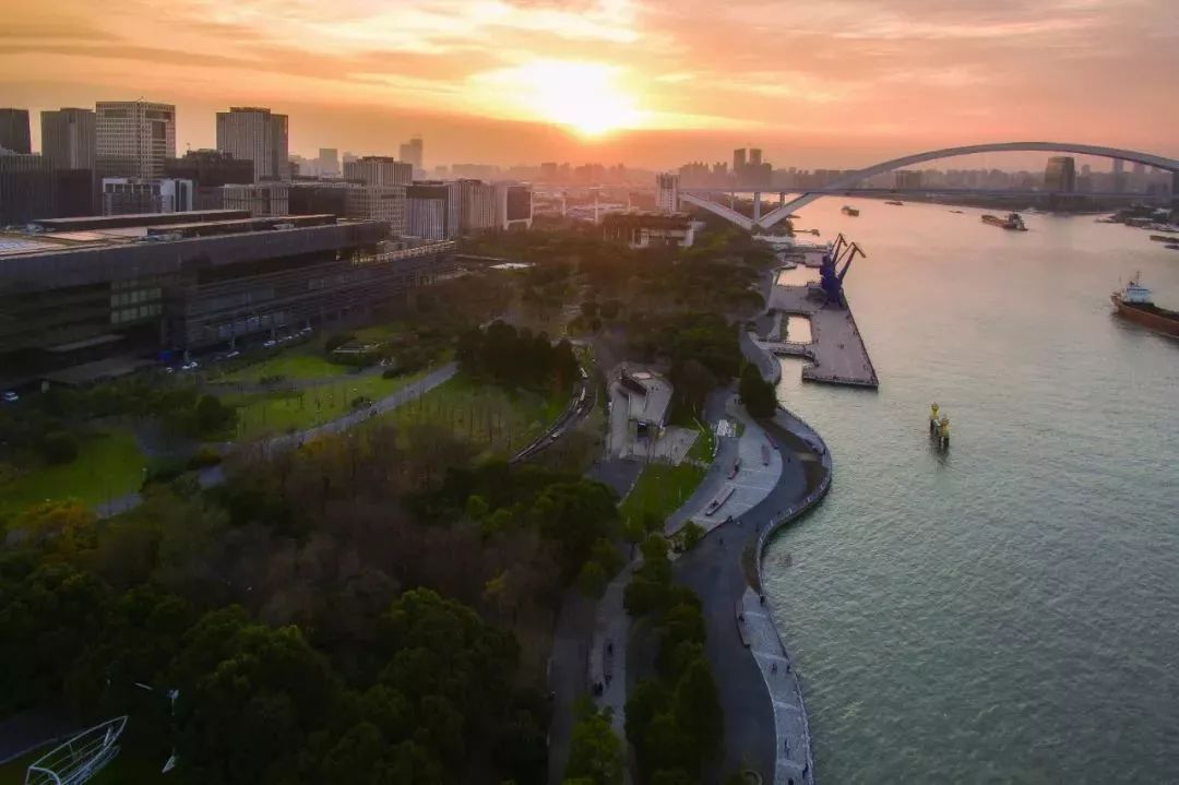 上海黄浦江旁边的公园,黄浦江边上的公园