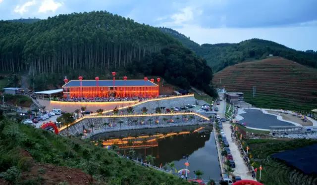 福建树屋酒店推荐,福建特色树屋民宿度假屋特点