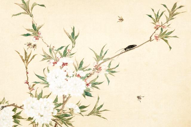 人最大的教养就是对父母和颜悦色,和颜悦色告诉我们什么道理