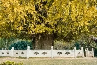 吵翻了！魔都16区终于正面PK！哪个是你心中的C位担当？