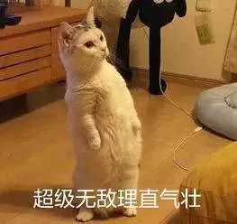 检测吸毒是阴性还是阳性,检测吸毒最长可以查多久前的